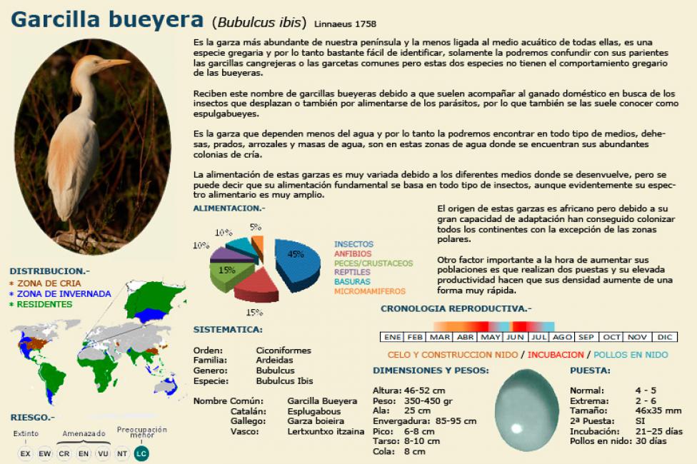 Datos biométricos - Biometrics